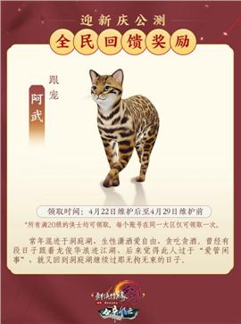 时光冰城天龙八部私服